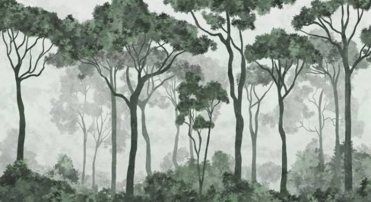 3D Фотообои Artegrafico «Молодой лиственный лес в зелёных тонах» PRS-012 канвас