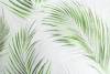 Обои флизелиновые HomeColor Tropical Shades HC71973-47 фото 2