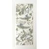 Декор Ape Ceramica Bellagio A041911 Dec Argegno Bianco Rect 60x120