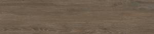 Керамогранит Alma Ceramica Grandwood GFA2090GRW44R матовый 20x90