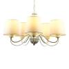 Подвесная люстра Arte Lamp Orlean A9310LM-5WG фото 2