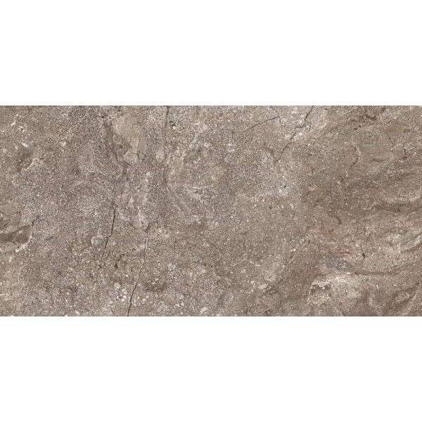 Керамогранит Leopard 6405 Stone Grey Polished 60x120