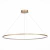 Подвесной светодиодный светильник ST Luce IN ST603.243.57 фото 2