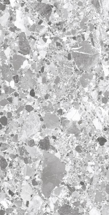 Керамогранит Arcadia Ceramica Terragona SL1004-A Silver Solido 60x120