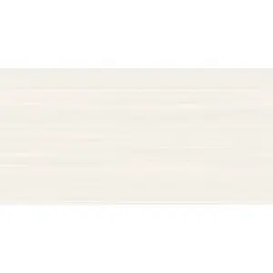 Керамическая плитка Alma Ceramica TWU09RLX004 24.9x50