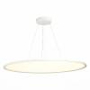 Подвесной светодиодный светильник ST Luce ST602.543.120