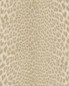 Обои Roberto Cavalli №9 21043