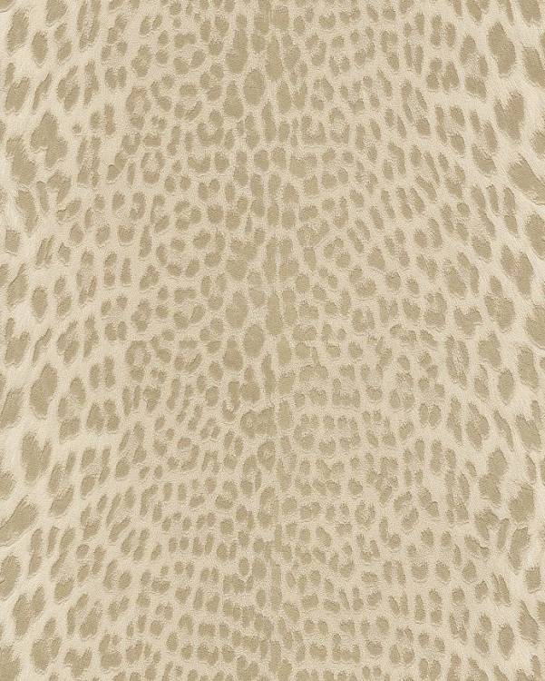 Обои Roberto Cavalli №9 21043