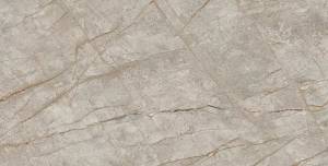 Керамогранит Atlas Concorde Russia Empire 610015000618 Silver Root Rett Lapp 60x120