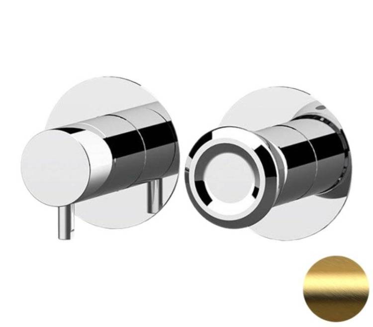 Смеситель для душа Remer Element ET92ZPBG золото брашированное