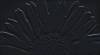 Декор Tubadzin Colour Black Sunflower 32.7x59.3