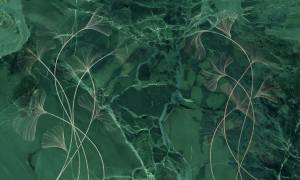 Фреска La Stanza Tesoro 01310-G песок (размер на заказ)