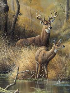 Ковер Кайраккумские ковры 237-81 Прямоугольник 1.5x2.5 м