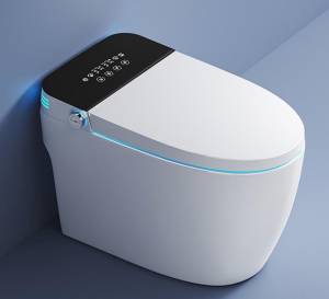 Умный унитаз приставной Cerutti Spa Ezio CT11168 с дистанционным управлением, с микролифтом