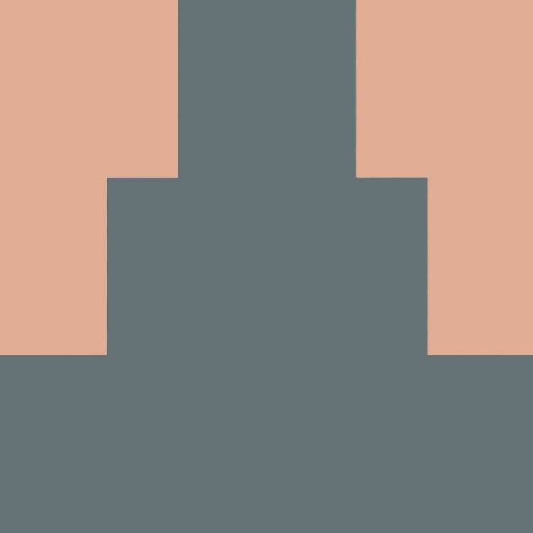 Керамогранит Fioranese Italian Landscape ILSI20B Siena B 20.5x20.5