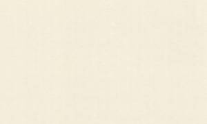 Обои виниловые Rasch Magnolia 965001