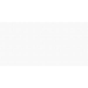 Керамогранит NT Ceramic Lux Shine NTTVL99101GC Snow Glossy 60x120