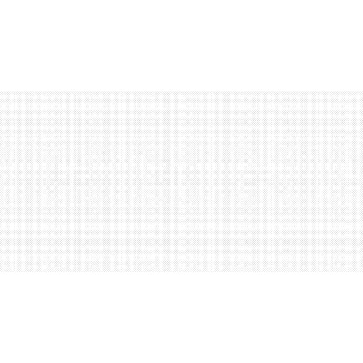 Керамогранит NT Ceramic Lux Shine NTTVL99101GC Snow Glossy 60x120