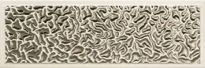 Декор Versace Gold G0068870 Bianco Acqua Lingotto Platino 25x75