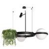 Подвесной светильник Loft IT Jardin 10121/2