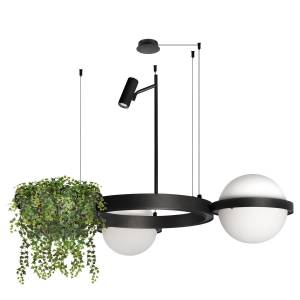 Подвесной светильник Loft IT Jardin 10121/2