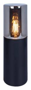 Ландшафтный светильник Arte Lamp Wazn A6218FN-1BK