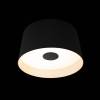 Потолочный светодиодный светильник Loft IT Duo 10360S Black фото 3