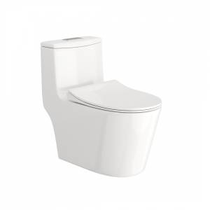 Унитаз-моноблок Maretti Florenza FL10MNBM17-844 безободковый, сиденье микролифт