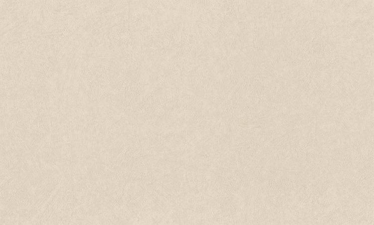Обои Rasch Trend 947465