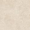 Керамогранит Alma Ceramica Amsterdam GFU6060ADM40R матовый 60x60x9 фото 8