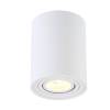 Потолочный светильник Crystal Lux CLT 410C1 WH фото 2