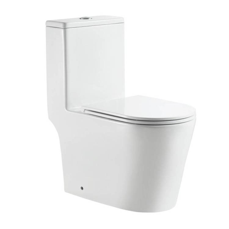 Унитаз-моноблок BelBagno Tre-Tor BB673CP-MN-TOR/SC с сиденьем микролифт