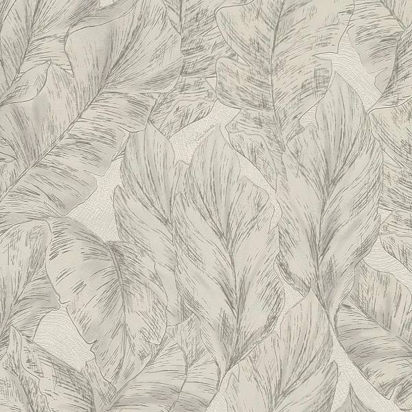 Обои Roberto Cavalli №9 21073