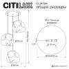 Подвесной светильник Citilux Rocka CL247084 фото 12