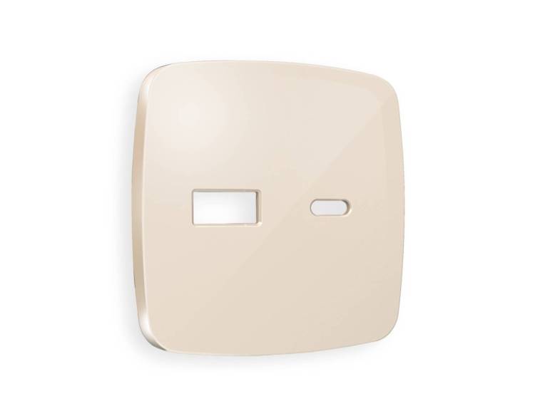 Лицевая панель для розетки 2USB A+C Ambrella Volt Omega OP3110