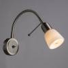 Спот Arte Lamp Lettura A7009AP-1SS фото 3