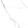 Керамогранит Arcadia Ceramica Statuario RT6015-A Fine Matt Rustic 60x60 фото 4