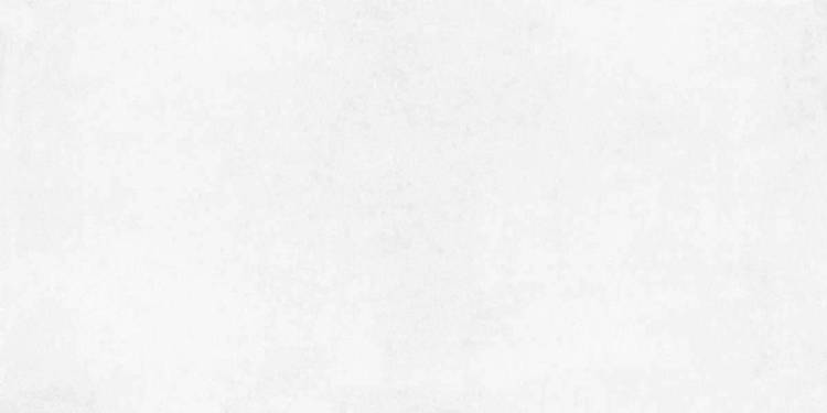 Керамогранит Laparet Betonica Blanco PRO светло-серый матовый R10Soft 80x160