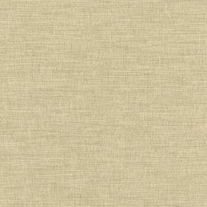 Обои Rasch Florentine IV 484687
