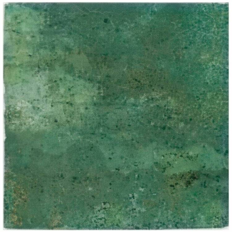 Керамическая плитка Dna Tiles Enamel 123078 Square Moss 12.5x12.5