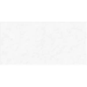 Керамическая плитка Alma Ceramica Discover TWU2550DCV00 Рельефная 24.9x50