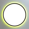 Светильник с пультом Citilux Norma CL749401 LED RGB фото 8