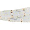 Светодиодная лента Arlight 25W/m 280LED/m 2835SMD холодный белый 2,5M 023402(2) фото 3