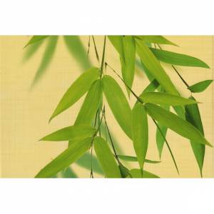 Декор Belarti Олира OLL 2 20x30