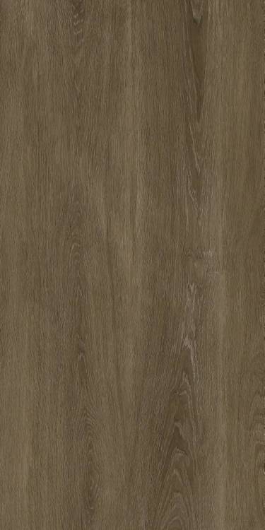 Керамогранит Protiles Albero PT12F7040 Grey 60x120