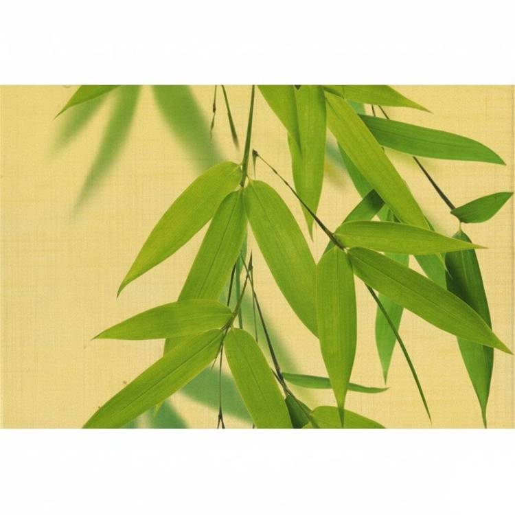 Декор Belarti Олира OLL 2 20x30