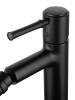 Смеситель для биде Wonzon & Woghand WW-88016073-MB черный матовый фото 4
