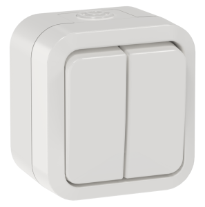 Выключатель 2-клавишный проходной IEK Tors TS-V22-0-10-55-K01 белый