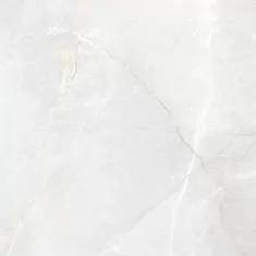 Керамогранит Absolut Gres Blue Jasto AB 1154G Light Gloss 600x600