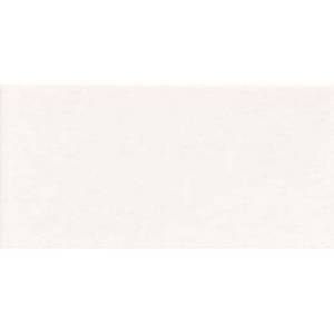 Керамическая плитка Mainzu Plus Bissel PT01946 Blanco Liso Brillo 10x20